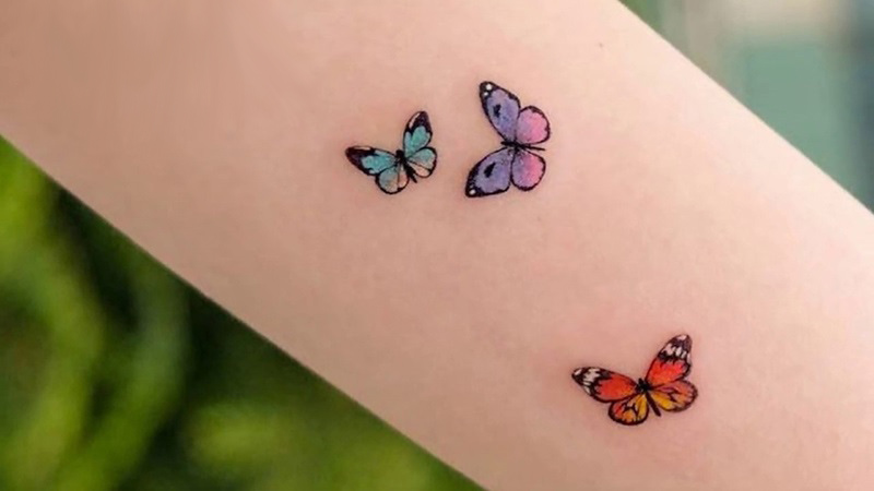 Hình xăm đàn bướm tượng trưng cho khát vọng theo đuổi tự dọ và hạnh phúc