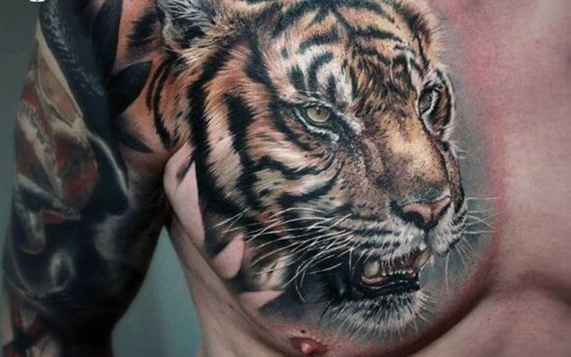 Hình xăm con hổ trên ngực