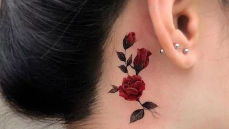 Hình xăm hoa hồng đỏ ở sau tai