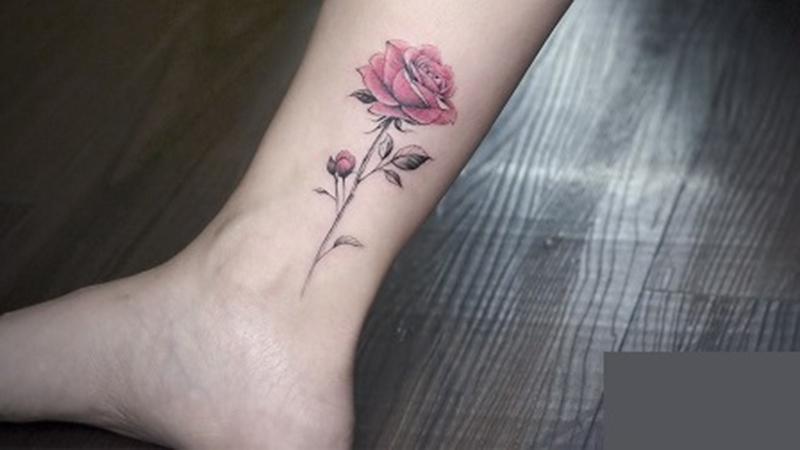 Hình xăm hoa hồng đỏ mini ở chân